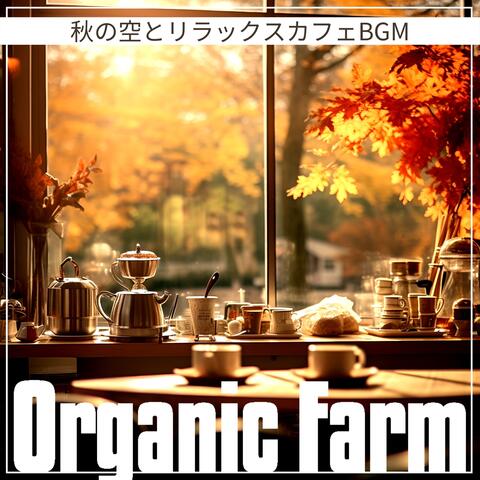 秋の空とリラックスカフェBGM