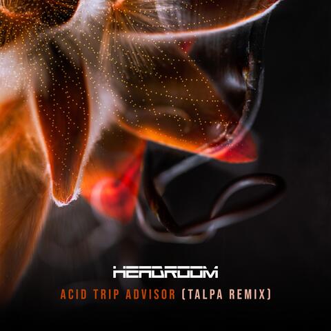 Acid Trip Advisor (Talpa Remix)