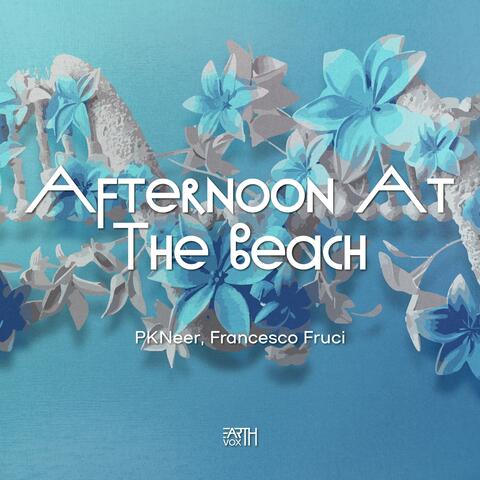 Afternoon at the Beach