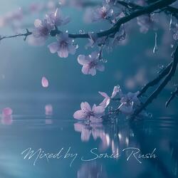 Particles of Emotions in Trance Mix Vol, 32