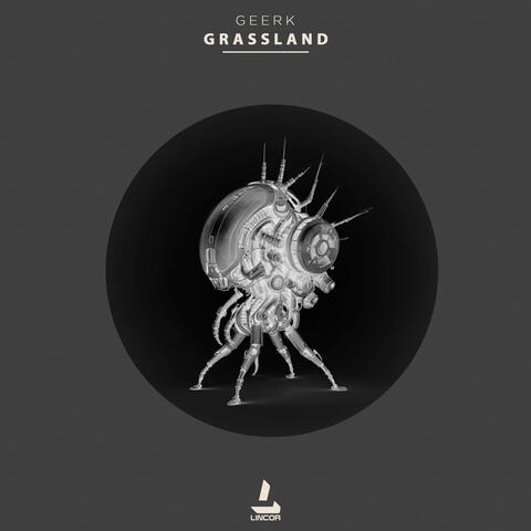 Grassland
