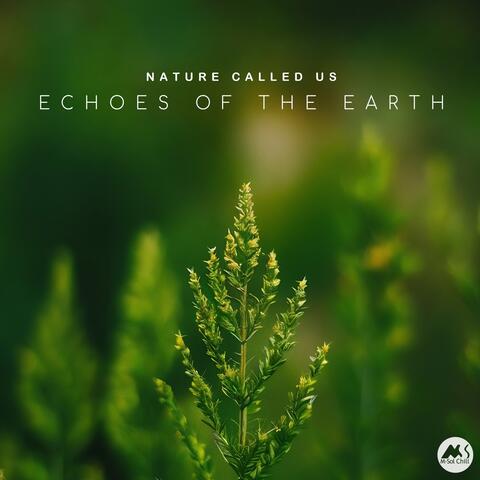 Echoes of the Earth