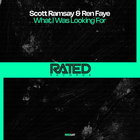 What I Was Looking For