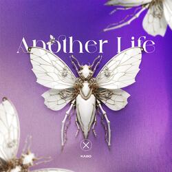 Another Life