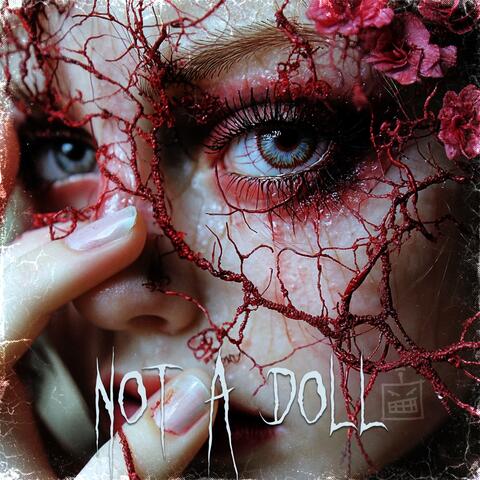 Not a Doll