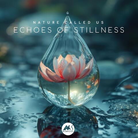 Echoes of Stillness