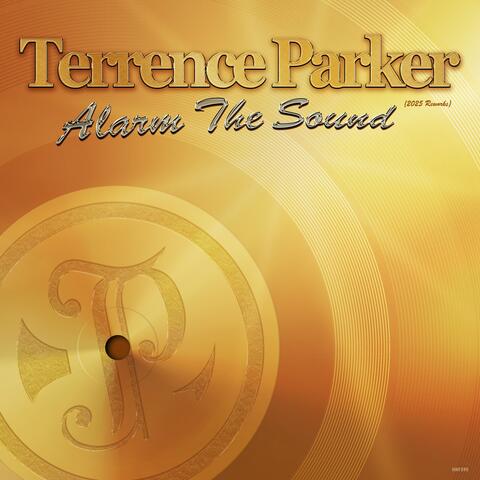 Alarm the Sound (2025 Reworks)