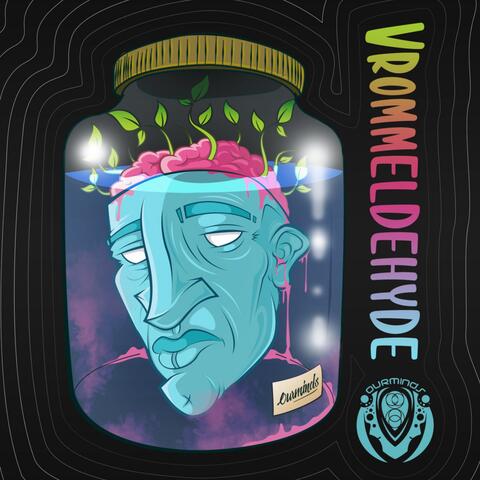 Vrommeldehyde