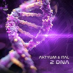 2 DNA