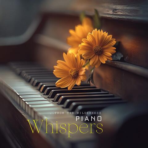 Piano Whispers from the Wilderness