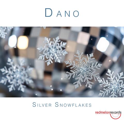 Silver Snowflakes