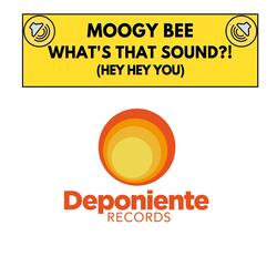 What's That Sound (Hey Hey You)