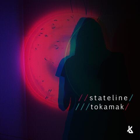 Tokamak