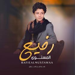 رفيع المستوى