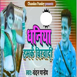 Dhaniya Hamke Chikhadi