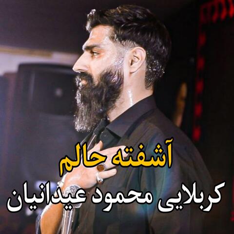 محمود عيدانيان - زمينه آشفته حالم