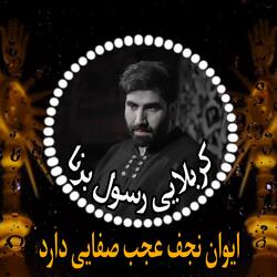 كربلايى رسول برنا ايوان نجف عجب صفايى دارد