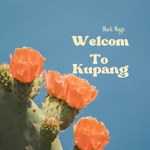 Welcome to Kupang