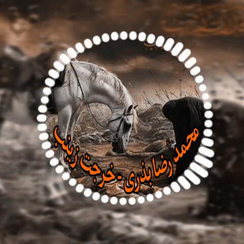 محمد رضا بذرى - خرجت زينب