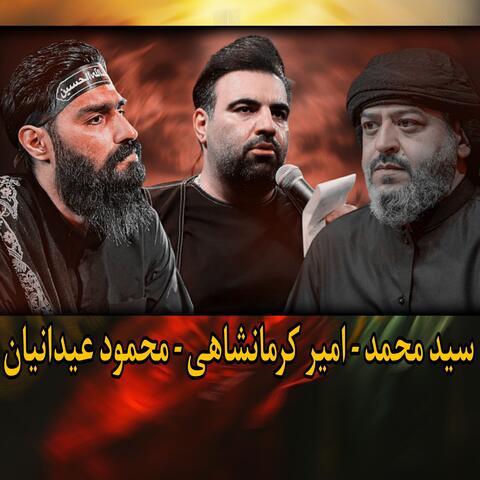 سيد محمد - امير كرمانشاهى - محمود عيدانيان