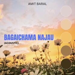 Bagaichama Najau