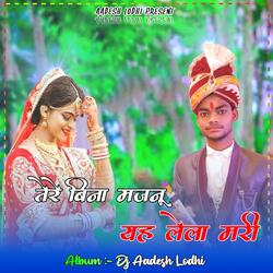 Tere Bina Majnu Ye Laila Mari