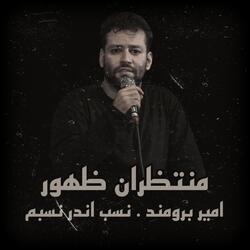 امير برومند . نسب اندر نسبم