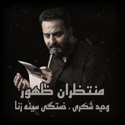 وحيد شكرى . خستگى سينه زنا