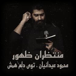 محمود عیدانیان . توى دلم همش