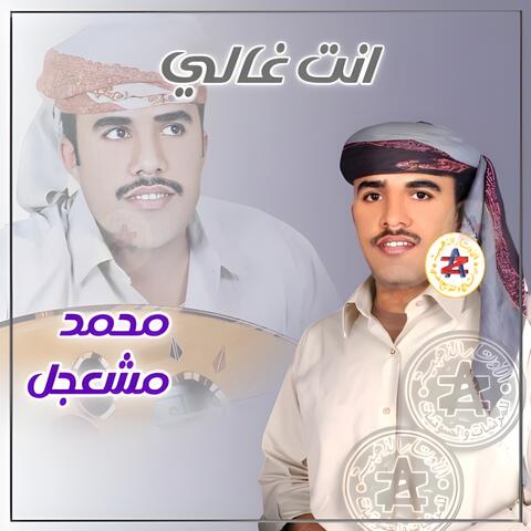 انت غالي