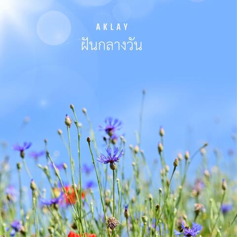 ฝันกลางวัน