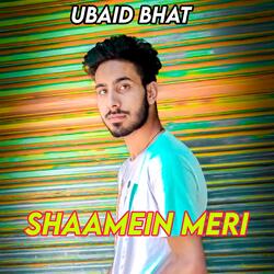 Shaamein Meri