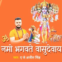 Om Namo Bhagavate Vasudevaya