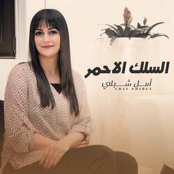 السلك الاحمر