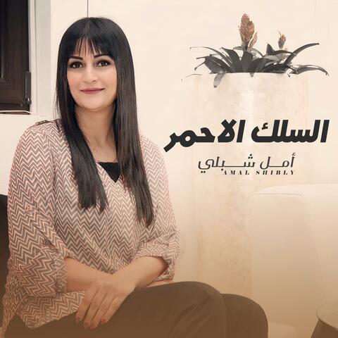 السلك الاحمر