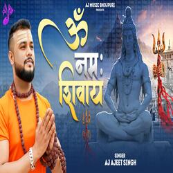 Om Namah Shivay