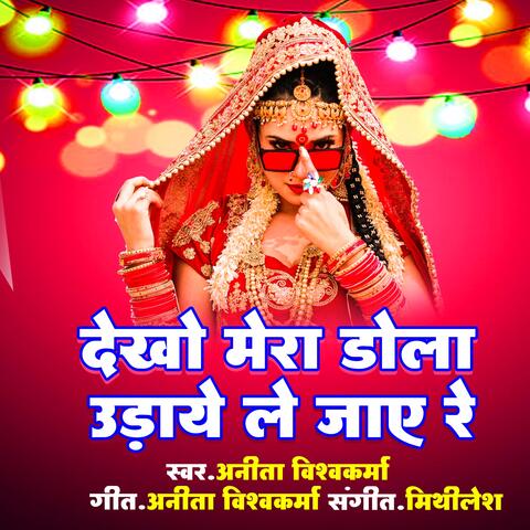 Dekho Mera Dola Udaye Le Jaye Re