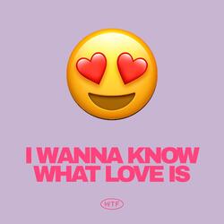 I Want To Know What Love Is