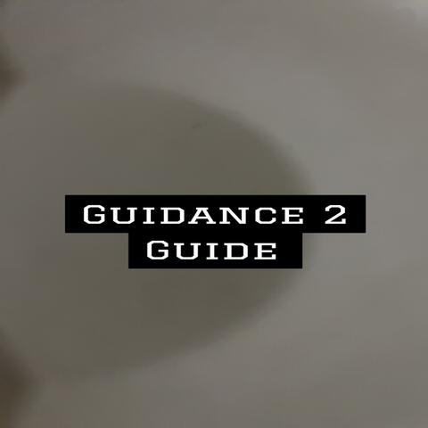 Guidance2