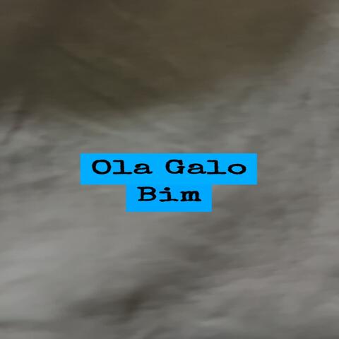 Bim