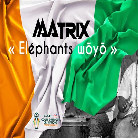 Eléphants wôyô