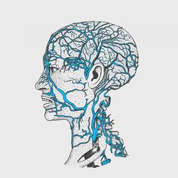 Danse sur l'Hardcore