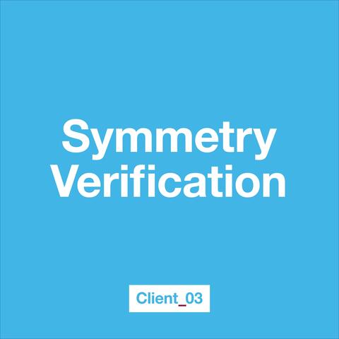 Symmetry Verification