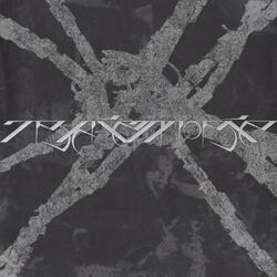 A Reference To The Form Of Features