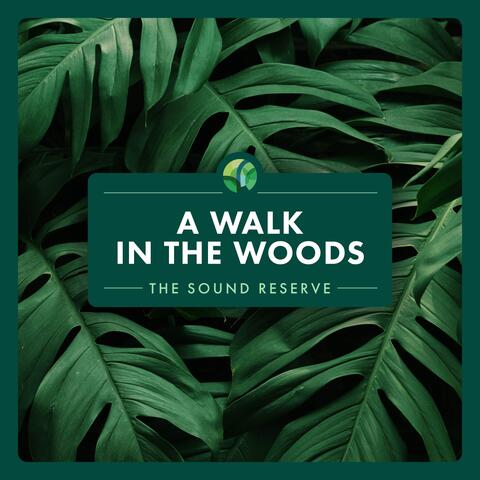 A Walk in the Woods