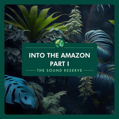 Into the Amazon Part I