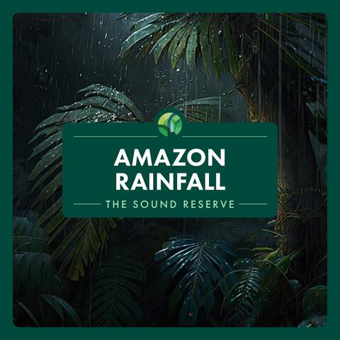 Amazon Rainfall