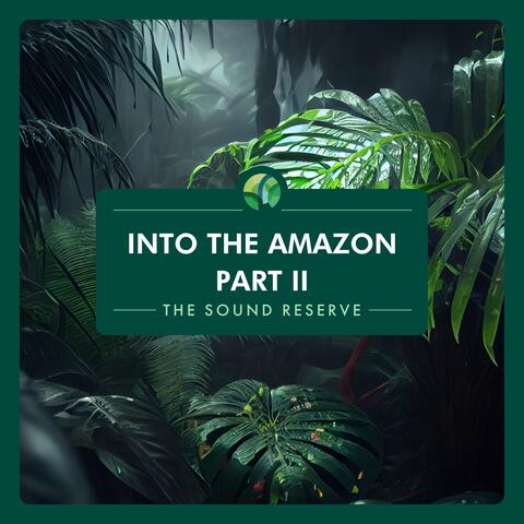 Into the Amazon Part II