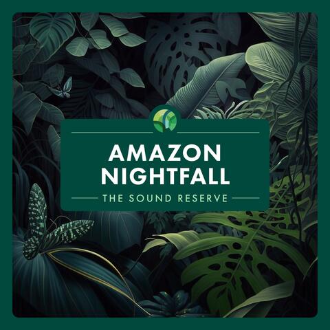 Amazon Nightfall