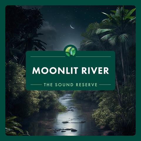 Moonlit River